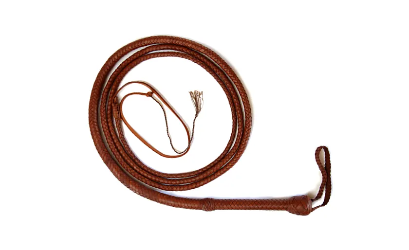 BDSM Skill Share: The Whip